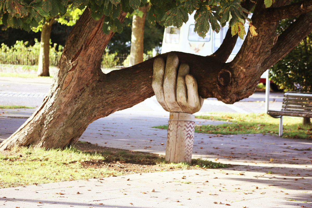 A carved wooden hand holds up a thick branch of a dark brown tree.